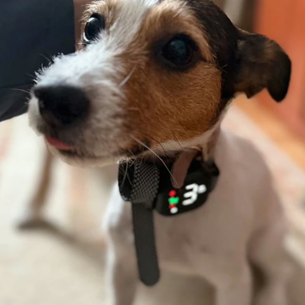 Image of Facebook post